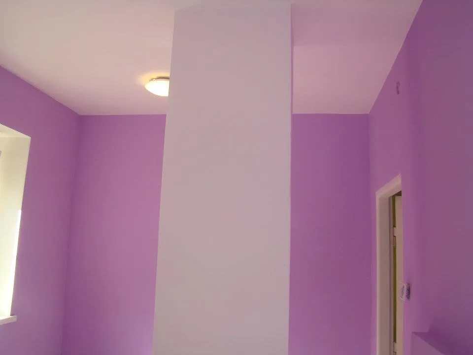 461204192_8596804583716620_8600010512536852503_n